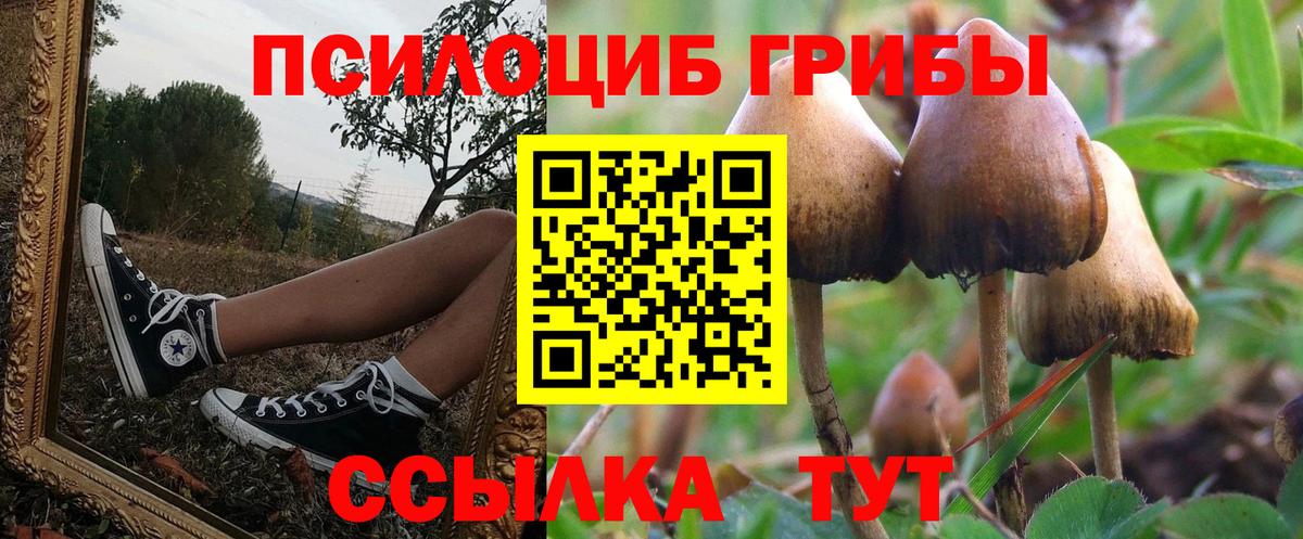 Галлюциногенные грибы Psilocybe  что такое наркотик  Родники  Вход с VPN 